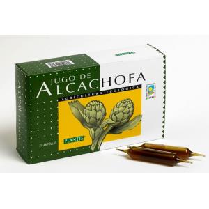 ALCACHOFRA ECO PLANTIS 20amp.