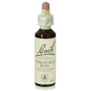 FLORES BACH CHESTNUT BUD botão de castanha 20ml.