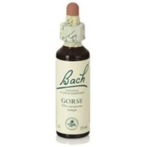 FLORES BACH GORSE togal 20ml.